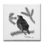 Robin Pen and Ink Tile/Coaster by NANCE